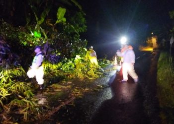 Senkom Mitra Polri Karanganyar Bersama Relawan Mengevakuasi Rumpun Bambu Yang Menutup Jalan