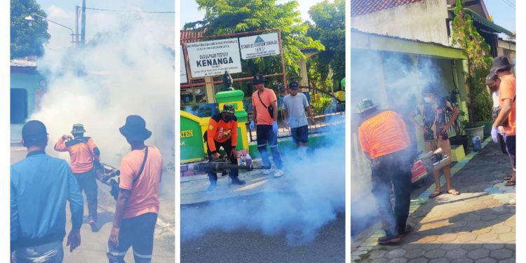 Mengantisipasi Penyebaran Demam Berdarah , Ketua RW , Warga Dan Anggota Senkom Melakukan Fogging Di Sekitar Lingkungan