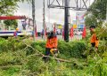 Senkom Mitra Polri Bersama BPBD Kudus, PKPLH & PLN Melaksanakan Kegiatan Perimbasan Pohon di Jalan
