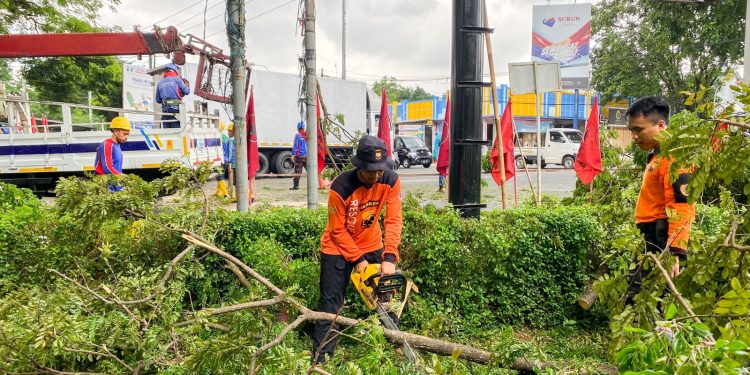 Senkom Mitra Polri Bersama BPBD Kudus, PKPLH & PLN Melaksanakan Kegiatan Perimbasan Pohon di Jalan