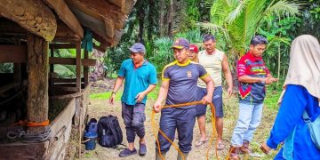 Peduli Hewan Ternak , Senkom Merangin Bantu Layanan Kesehatan Hewan