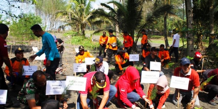 3.000 Cemara Laut Perkuat Perlindungan Abrasi di Pesisir Cilacap