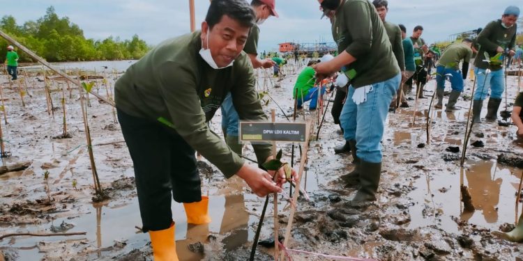 Peringati Hari Lingkungan Hidup Indonesia, LDII Ungkap Strategi Perbaiki Kualitas Udara