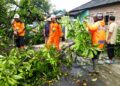 Senkom SAR Mojogedang Tanggap Cepat Evakuasi Pohon Tumbang di Kedung Jeruk