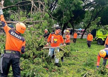 Pohon Tumbang di Alun-Alun Karanganyar: Satu Tewas, Dua Luka, Pemerintah dan Relawan Bergerak Cepat