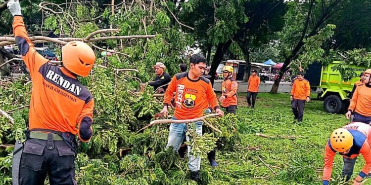 Pohon Tumbang di Alun-Alun Karanganyar: Satu Tewas, Dua Luka, Pemerintah dan Relawan Bergerak Cepat