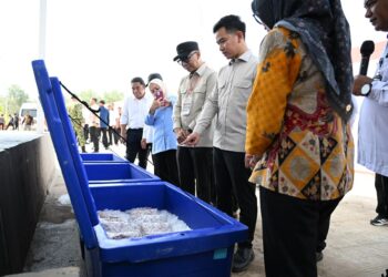 Pastikan Fasilitas Kawasan Nelayan Terintregasi, Wapres Tinjau KNMP Desa Margasari