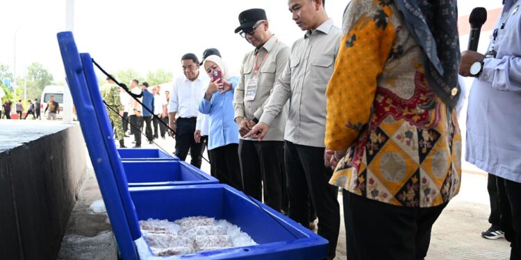 Pastikan Fasilitas Kawasan Nelayan Terintregasi, Wapres Tinjau KNMP Desa Margasari