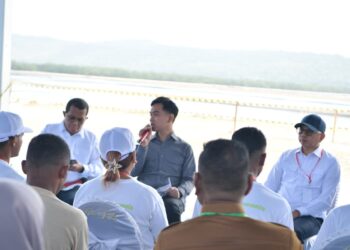 Tinjau Sentra Industri Garam Rote Ndao, Wapres Dorong Percepatan Swasembada dan Penguatan Ekonomi Pesisir