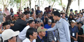 Serap Aspirasi Petani Muara Jaya, Wapres Dukung Penguatan Ekosistem Singkong untuk Swasembada Pangan
